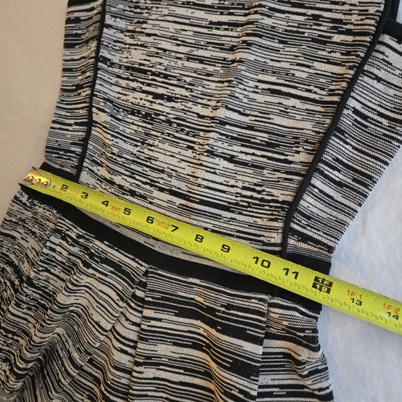 WGB Walter Baker Black & Grey Space Dye Stretch Knit Fit & Flare Dress - Picture 8 of 12